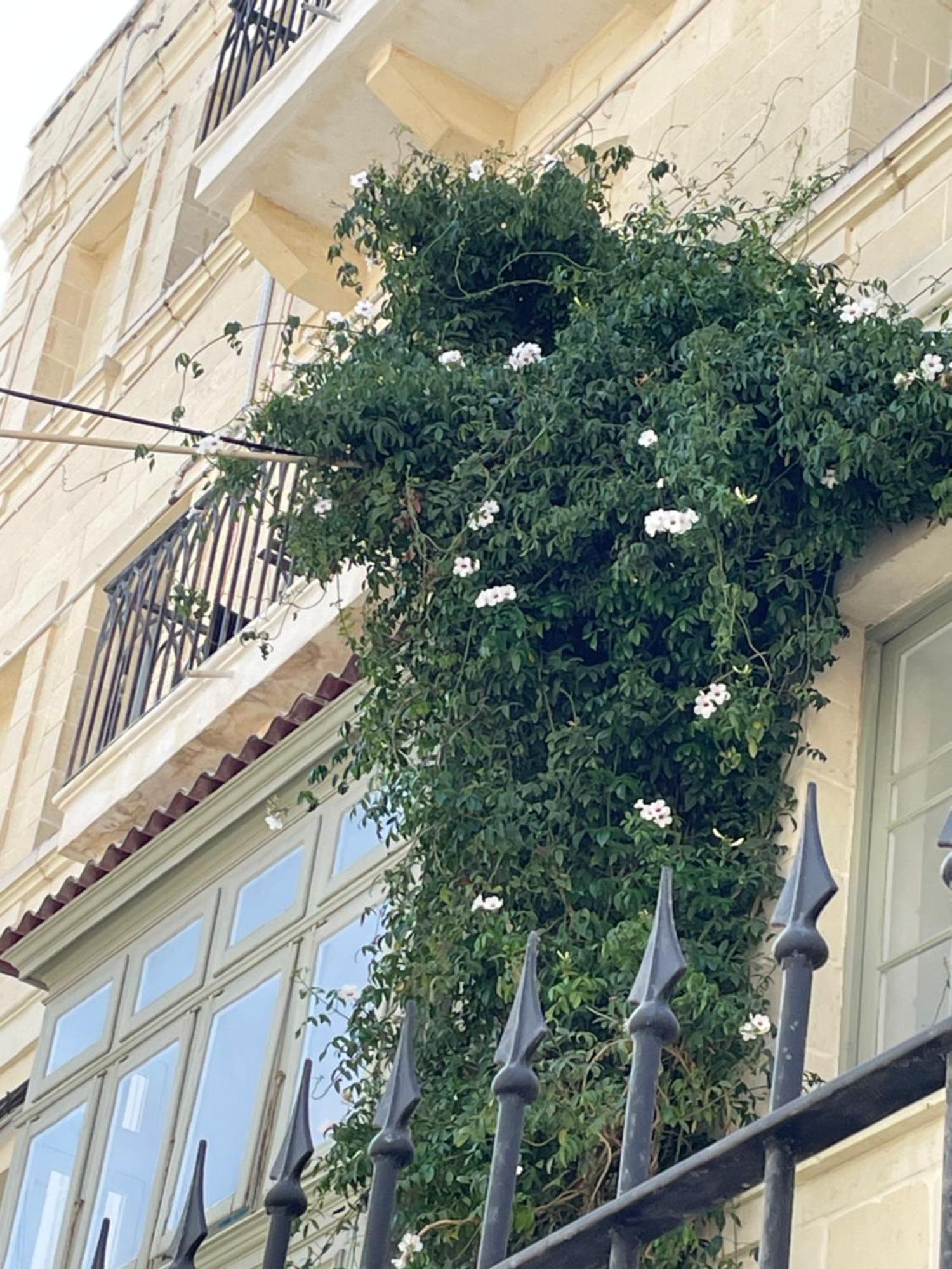 Simons Apartments Minutes Away From Balluta Bay And St Julians Σλιέμα Εξωτερικό φωτογραφία
